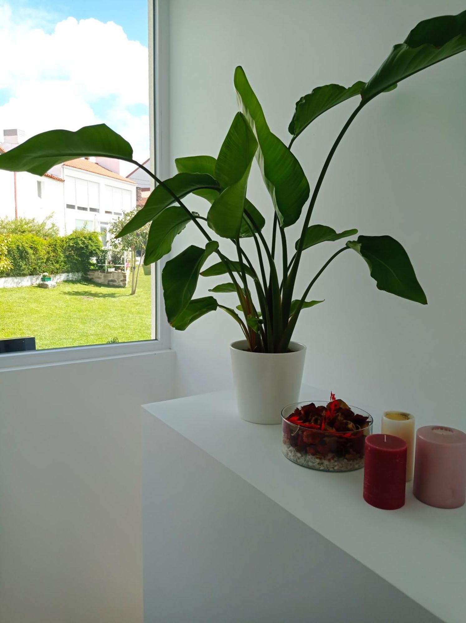 Casas Turisticas Lar Jardin - Parking Privado Santiago de Compostela Exterior photo