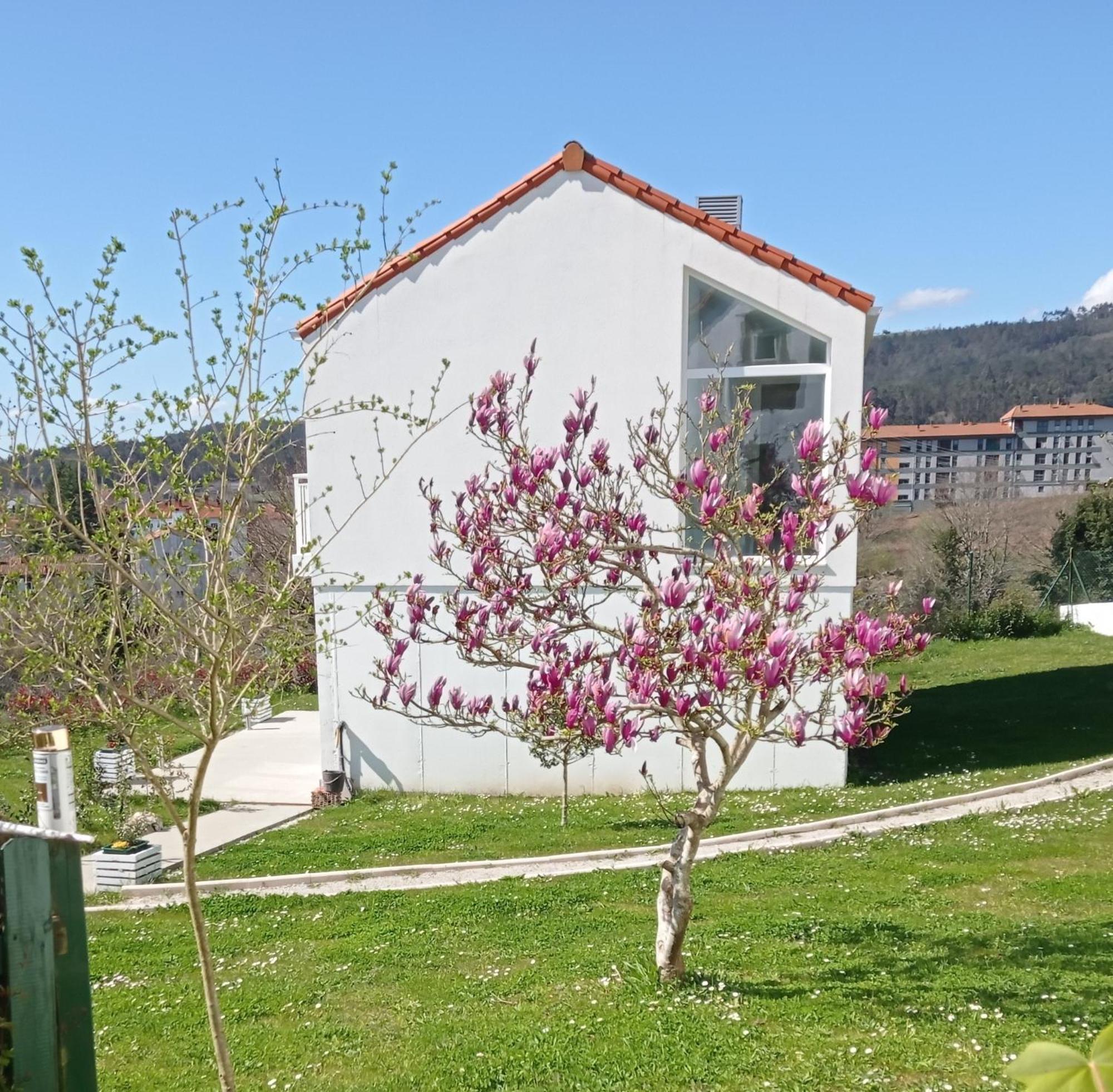 Casas Turisticas Lar Jardin - Parking Privado Santiago de Compostela Exterior photo
